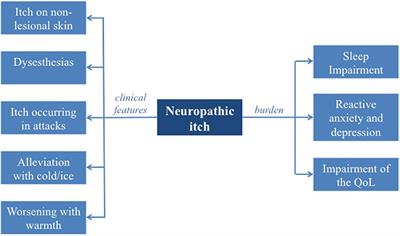 Neuropathic Itch: Routes to Clinical Diagnosis